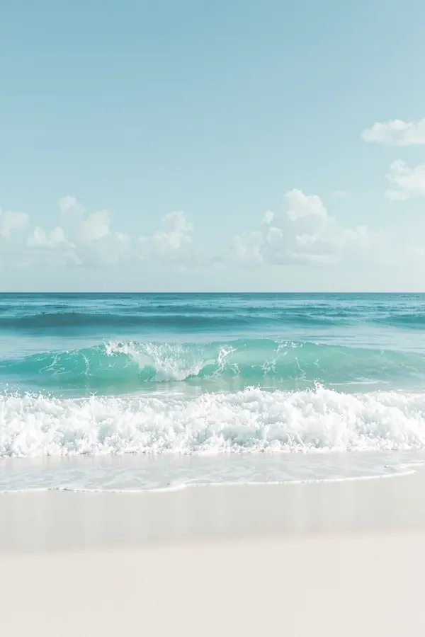 海风轻拂 电影海报